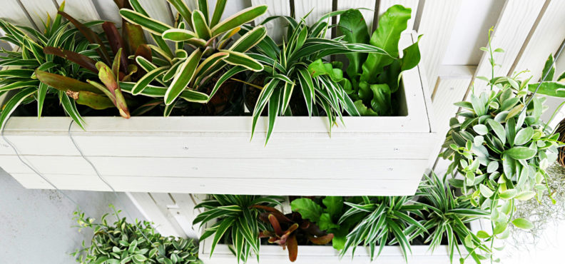 How to fill up home decor | Arrow Furniture