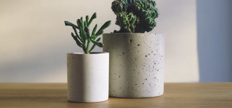 Here is how to improve your home decor with plants, and other tips from Arrow Furniture