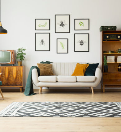 area rug, furniture in living room