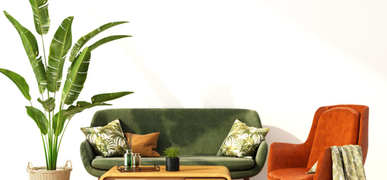 interior,design,trends,2022,couch,plants,chairs
