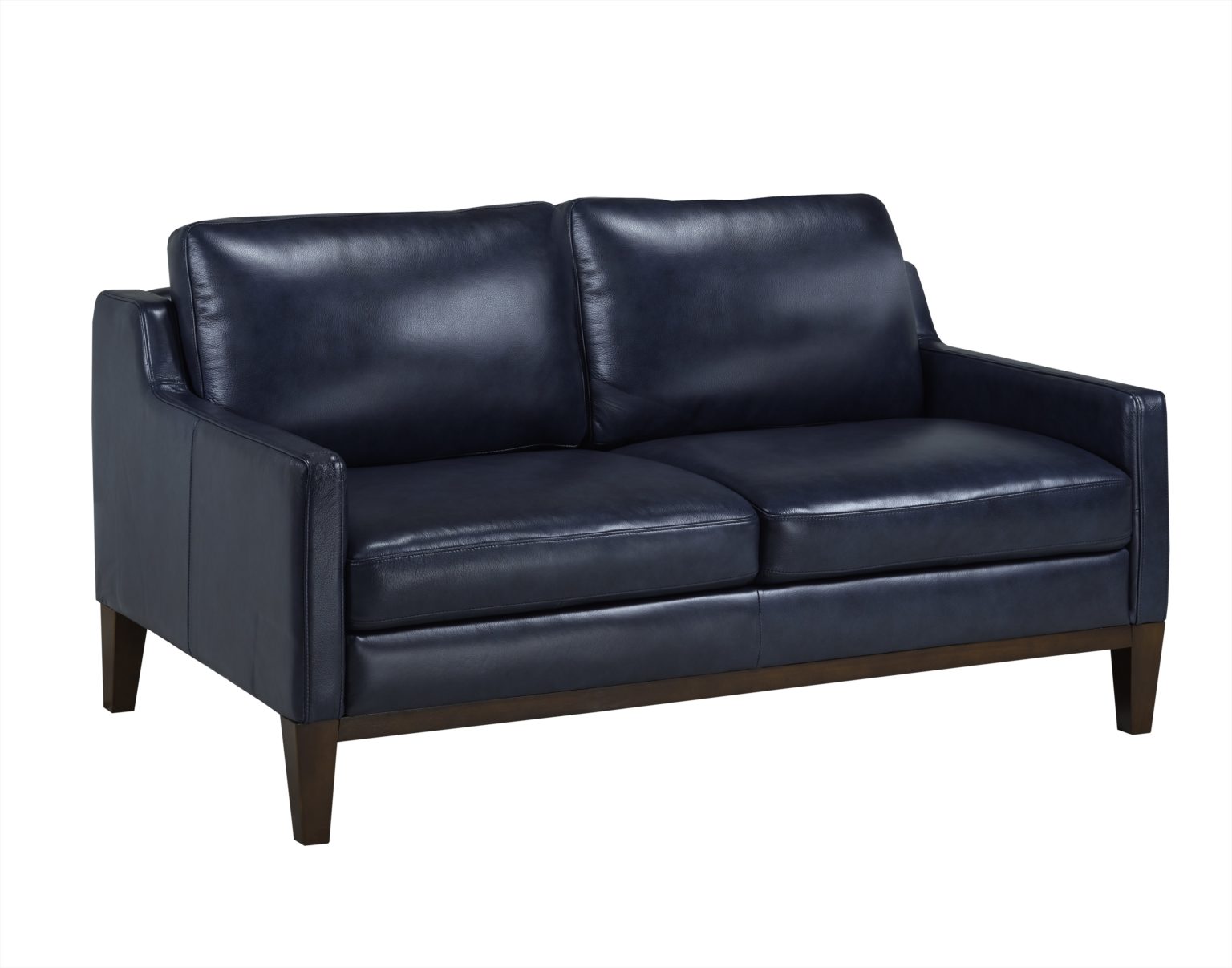 Contemporary Blue Leather Living Room Arrow Furniture
