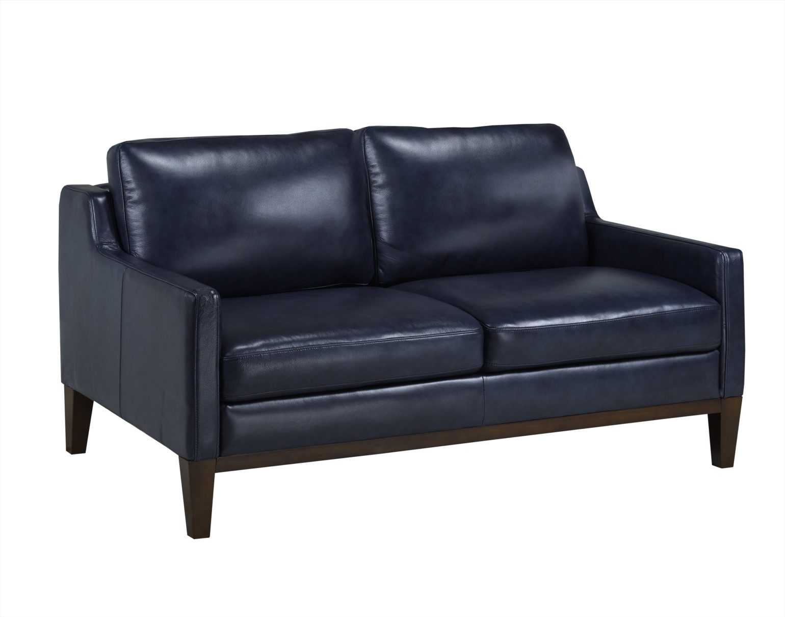 Contemporary Blue Leather Living Room Arrow Furniture