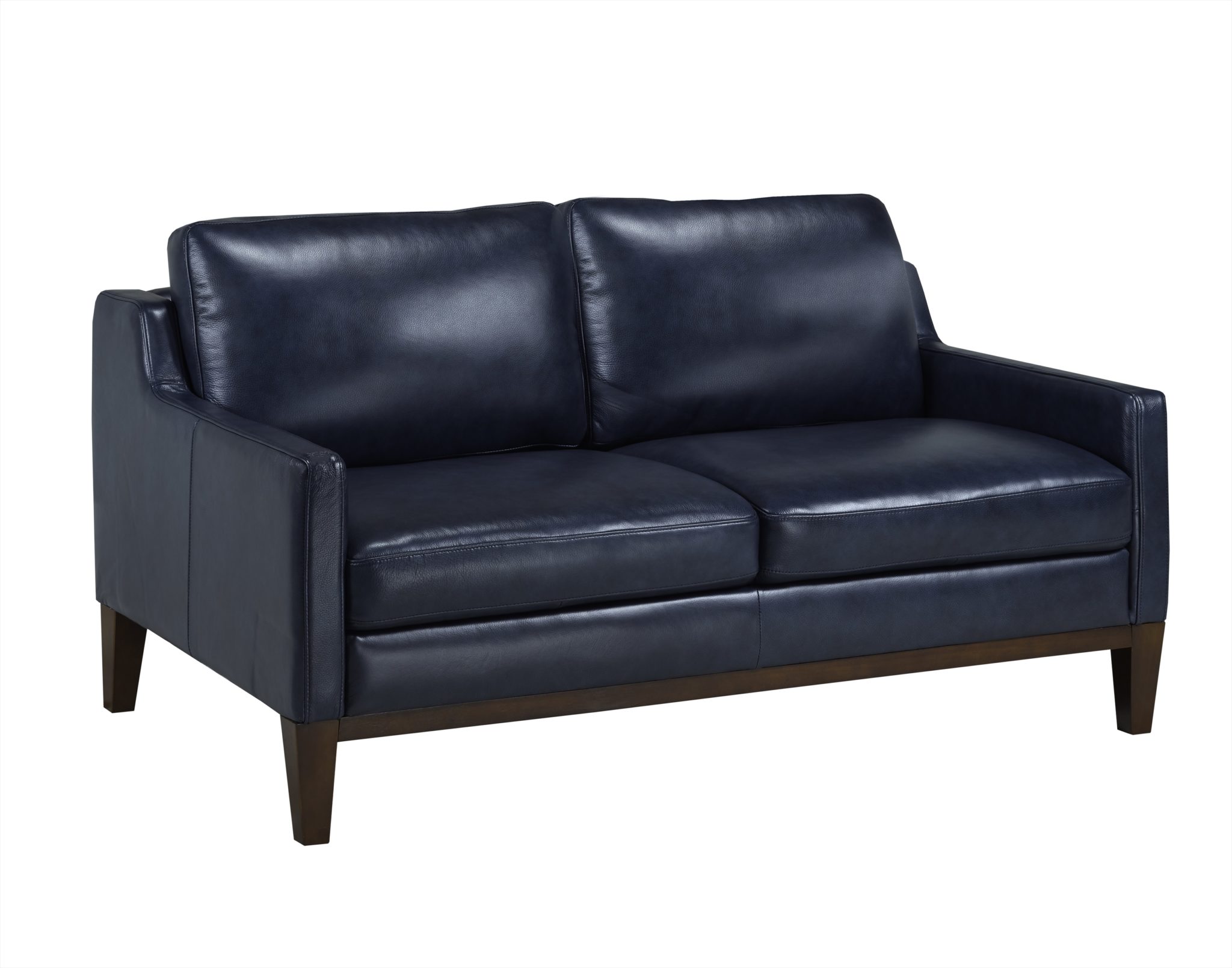 Contemporary Blue Leather Living Room Arrow Furniture